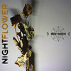 Ohne Nomen : Nightflower - CD