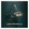 L'ame Immortelle : Hinter dem Horizont - CD