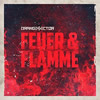 Orange Sector : Feuer & Flamme - CD